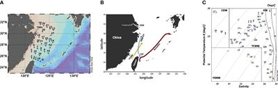 Diversity and distribution of small-sized planktonic ciliate communities in the East China Sea